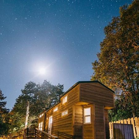 Umpqua'S Last Resort - Wilderness Cabins, Rv Park & Glamping Idleyld Park Экстерьер фото