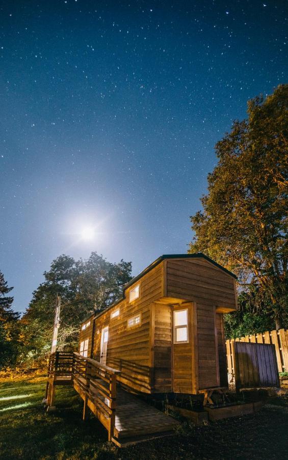 Umpqua'S Last Resort - Wilderness Cabins, Rv Park & Glamping Idleyld Park Экстерьер фото