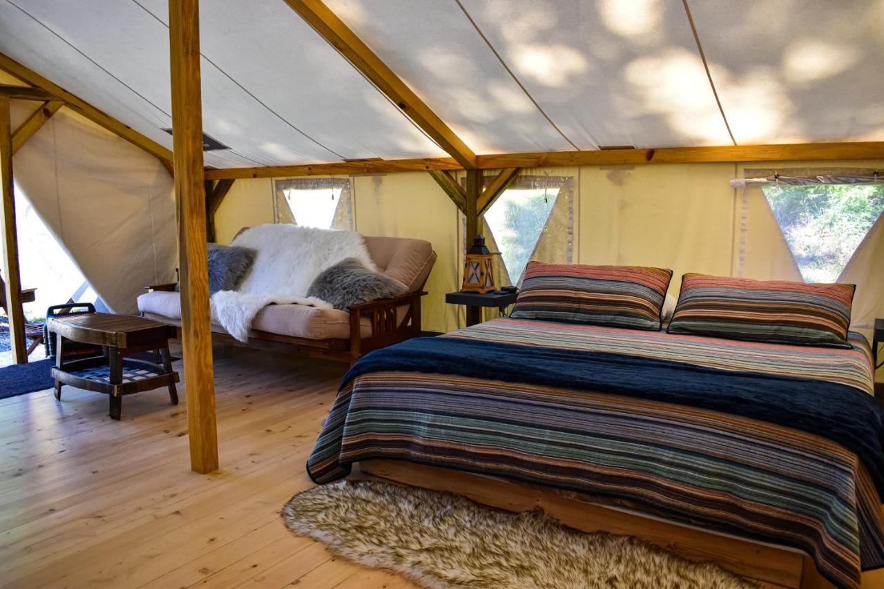 Umpqua'S Last Resort - Wilderness Cabins, Rv Park & Glamping Idleyld Park Экстерьер фото